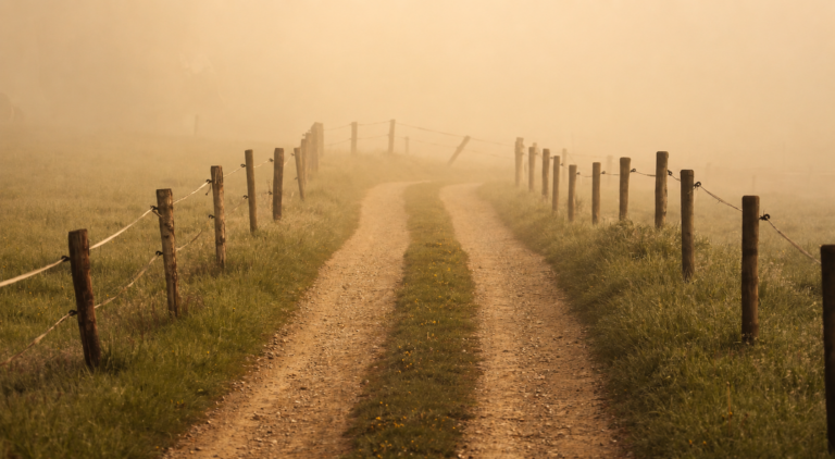 Sanfter Weg im Morgennebel zwischen Wiesen und Holzzäunen – ein stilles Bild für Übergang, Orientierung und inneres Ankommen.Rituale und FrauenRäume im Rhein-Main-Gebiet und Frankfurt am Main